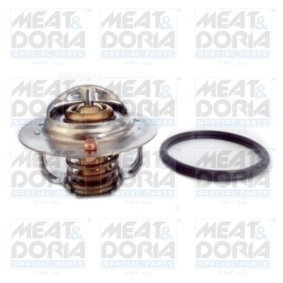 Thermostat, coolant